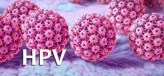 زگیل تناسلی HPV یا پاپیلوما ویروس