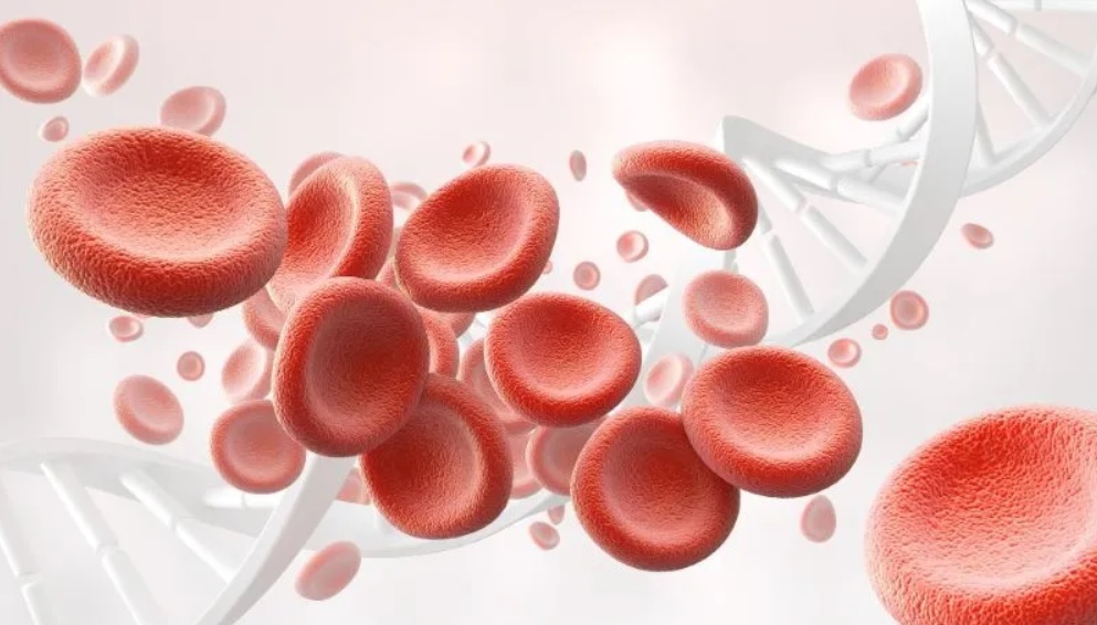 آزمایش خون RBC