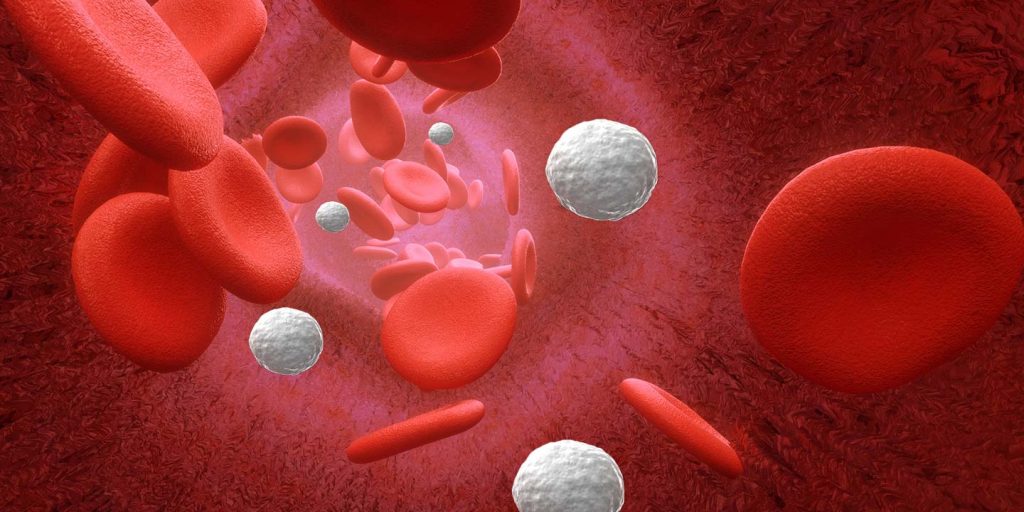 آزمایش خون WBC