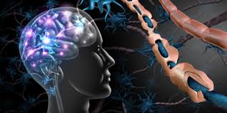 بیماری بهجت