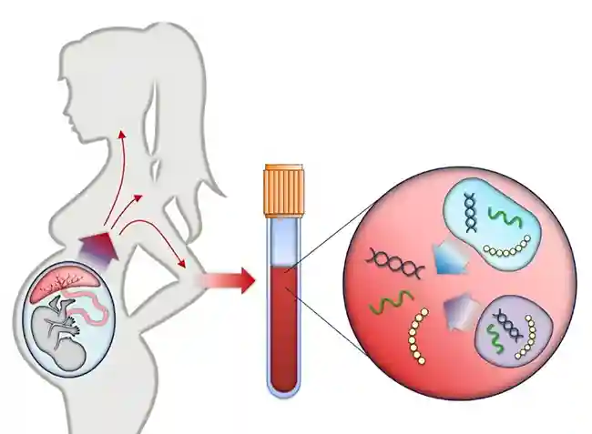 غربالگری ناهنجاری های جنینی